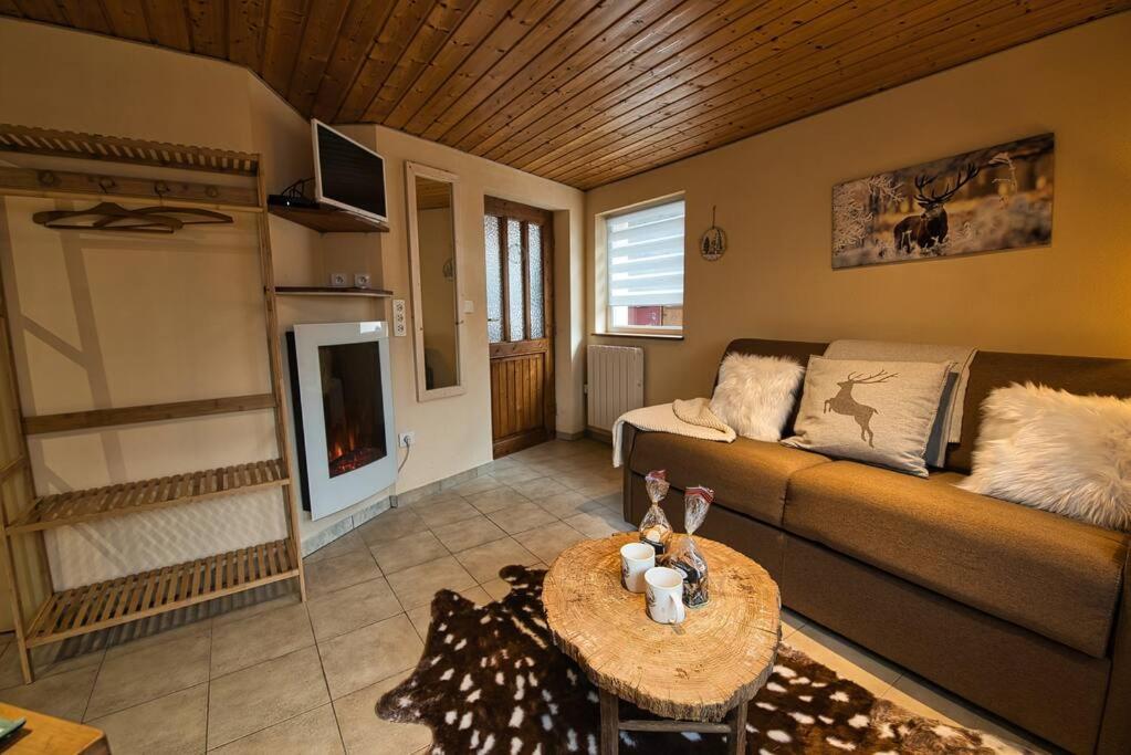 Apartmán Les Chouchous Du Ried 3 / Proche Europapark Saasenheim Exteriér fotografie